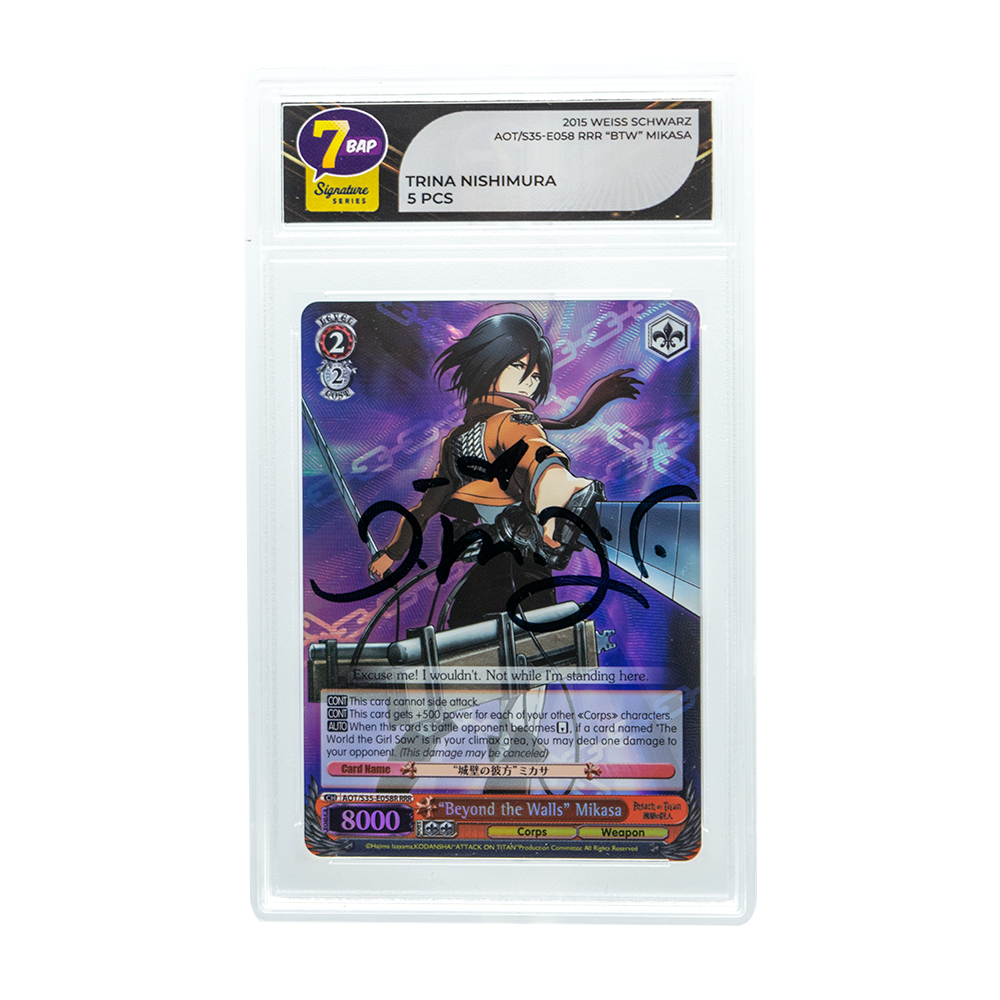Attack on Titan Signature Series (Online Order Only)