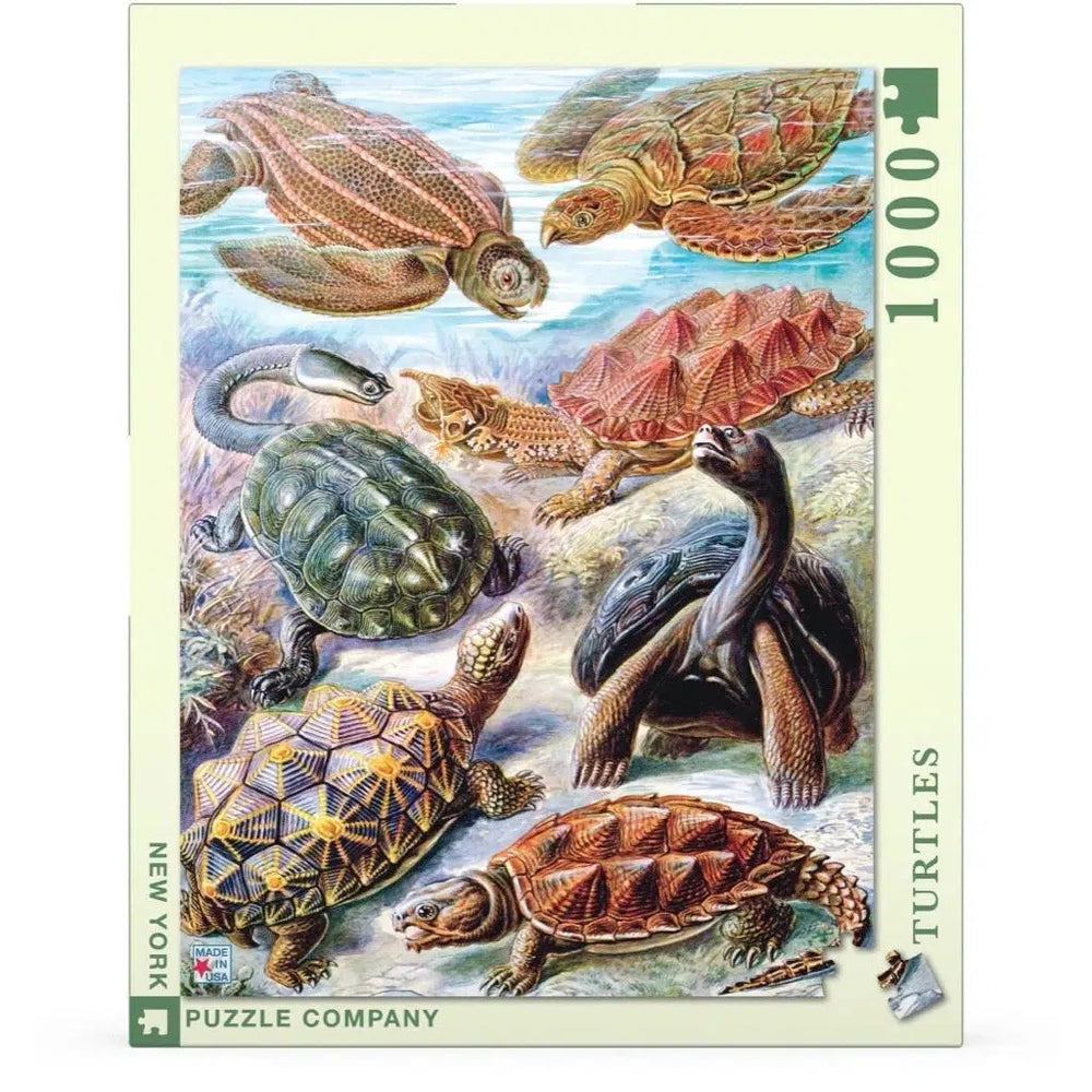 Turtles 1000 Piece Jigsaw Puzzle NYPC (ONLINE ORDER ONLY)