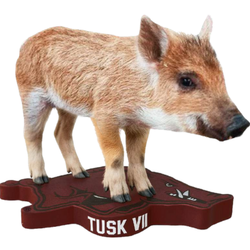 Arkansas Razorbacks Mascot Bobbleheads (ONLINE ORDER ONLY)