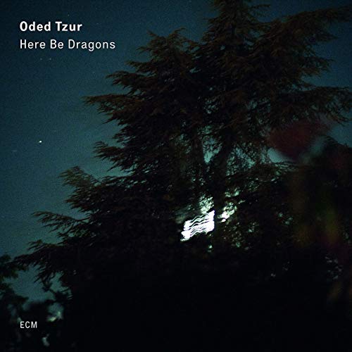 Here Be Dragons [LP] [Vinyl] (ONLINE ORDER ONLY)