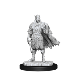 D&D: Nolzur's Marvelous Miniatures - Autumn Eladrin & Summer Eladrin (ONLINE ORDER ONLY)