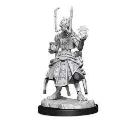 Starfinder: Deep Cuts - Shirren Technomancer (ONLINE ORDER ONLY)