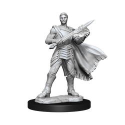 Magic: the Gathering - Unpainted Miniatures - Rowan Kenrith & Will Kenrith (ONLINE ORDER ONLY)