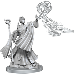 D&D: Frameworks - Elf Wizard Female (ONLINE ORDER ONLY)