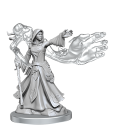 D&D: Frameworks - Elf Wizard Female (ONLINE ORDER ONLY)