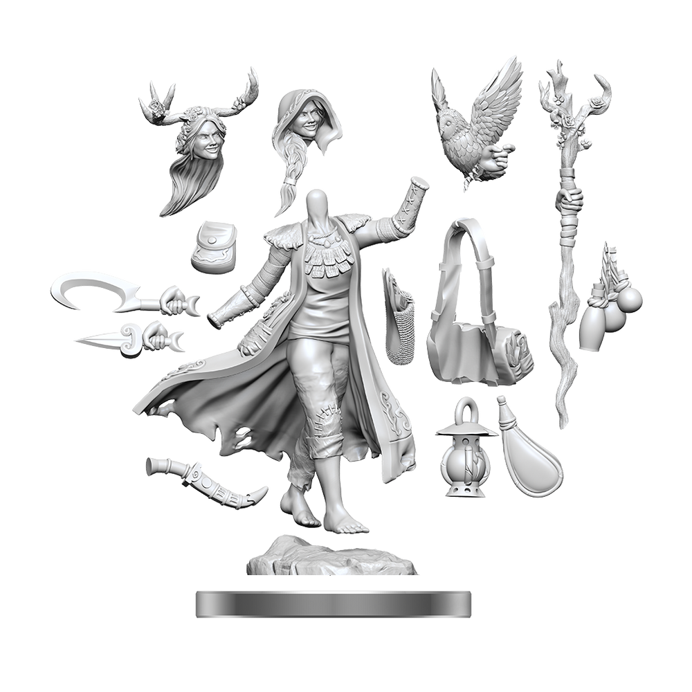 D&D: Frameworks - Human Druid Female (ONLINE ORDER ONLY)