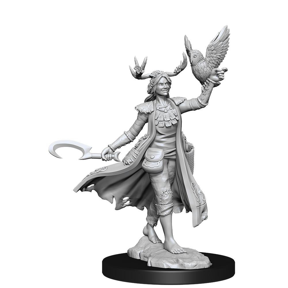 D&D: Frameworks - Human Druid Female (ONLINE ORDER ONLY)