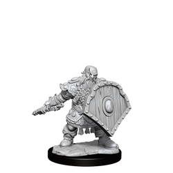 D&D: Frameworks - Dwarf Fighter Male