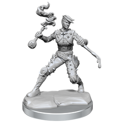 D&D: Frameworks - Human Rogue Female (ONLINE ORDER ONLY)