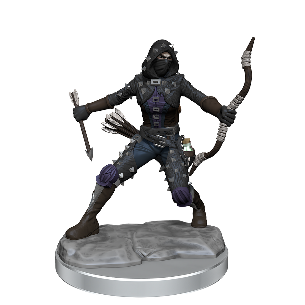 D&D: Frameworks - Human Rogue Female (ONLINE ORDER ONLY)
