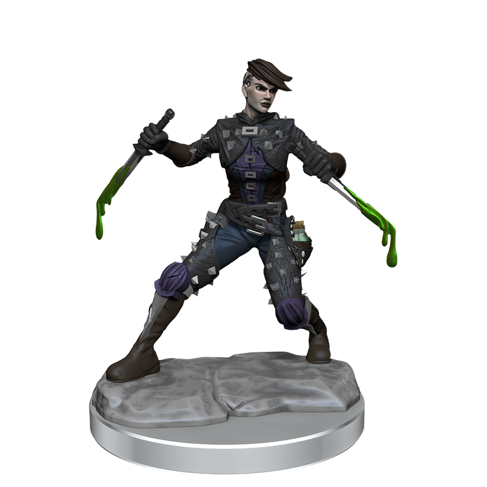 D&D: Frameworks - Human Rogue Female (ONLINE ORDER ONLY)