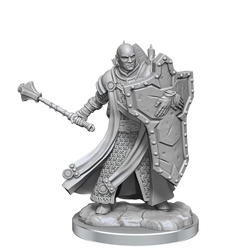 D&D: Frameworks - Human Cleric Male