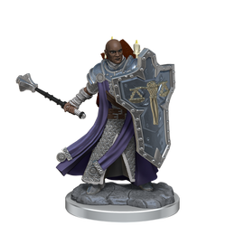 D&D: Frameworks - Human Cleric Male