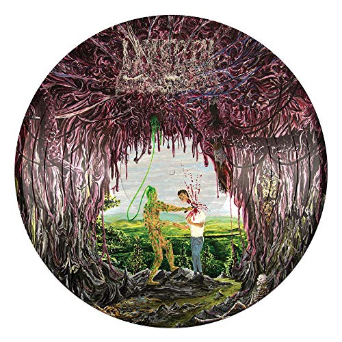 Lesions Of A Different Kind [Vinyl] (ONLINE ORDER ONLY)