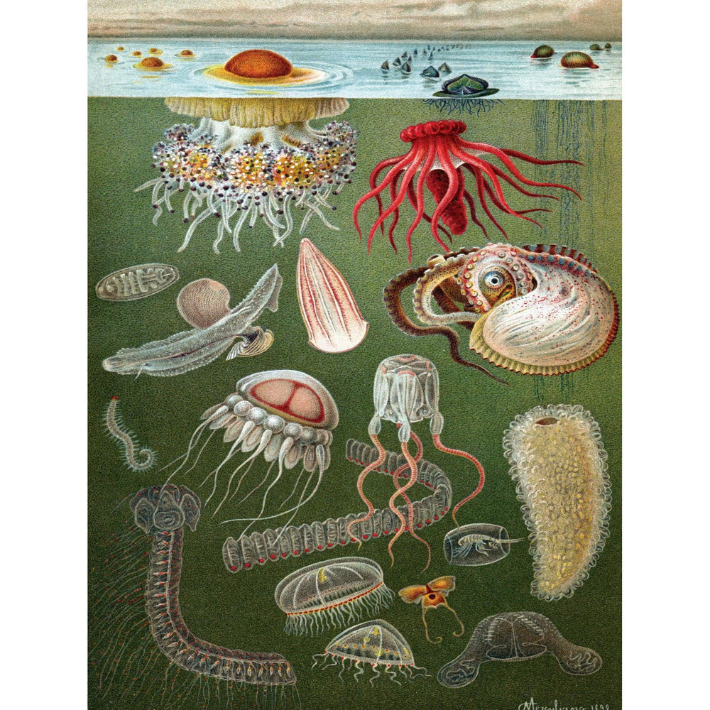 Under the Sea 1000 Piece Jigsaw Puzzle NYPC (ONLINE ORDER ONLY)