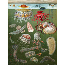 Under the Sea 1000 Piece Jigsaw Puzzle NYPC (ONLINE ORDER ONLY)