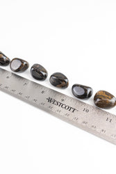 Stromatolite
