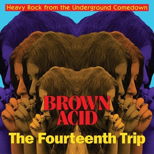 Brown Acid: The Fourteenth Trip [Vinyl] (ONLINE ORDER ONLY)