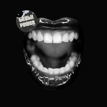 The Truth To Power Project [Vinyl]
