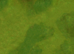 Verdant Fields 2 - Neoprene Battle Mat with Bag (Online Order Only)