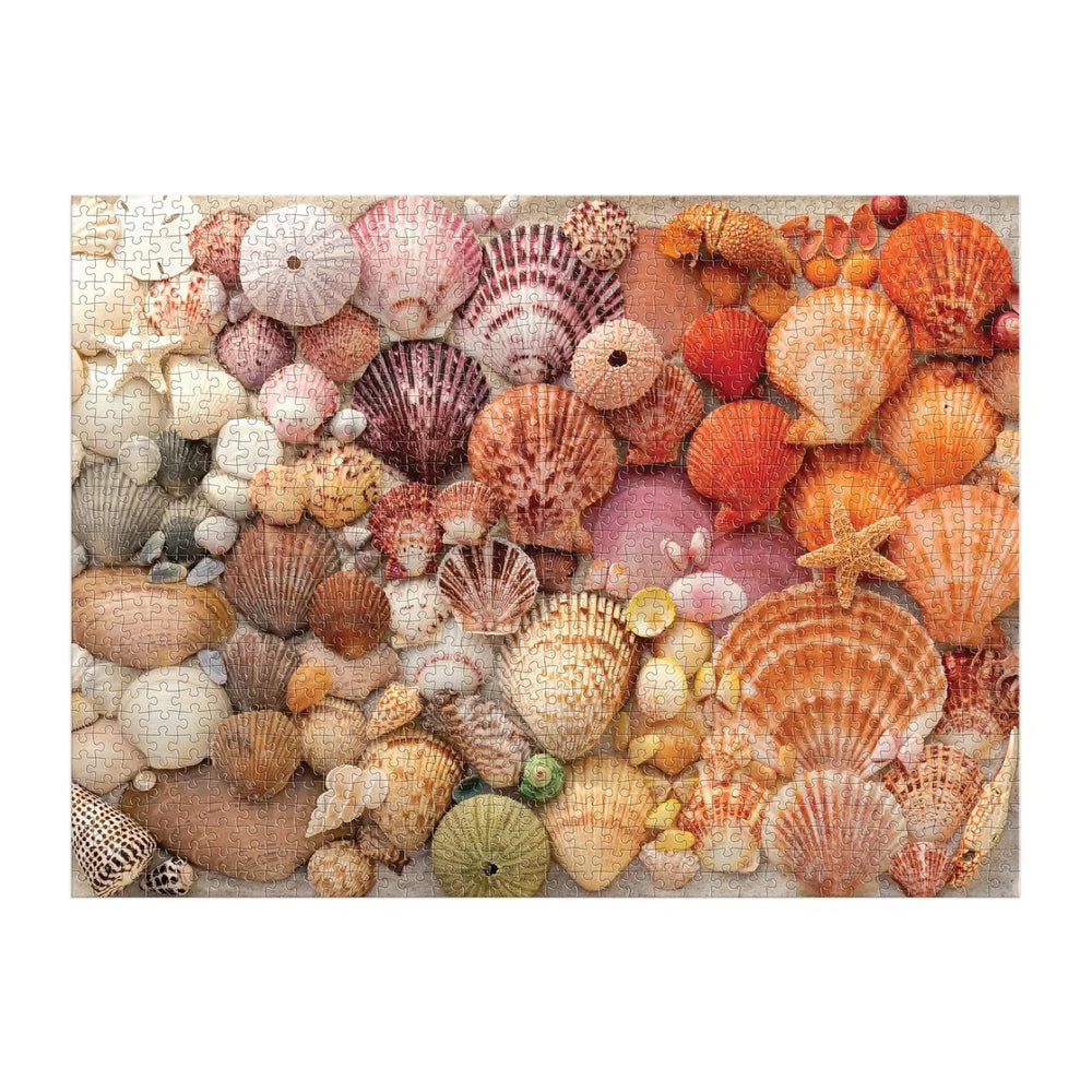 Vibrant Seashells 1000 Piece Jigsaw Puzzle Galison (ONLINE ORDER ONLY)