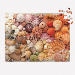 Vibrant Seashells 1000 Piece Jigsaw Puzzle Galison (ONLINE ORDER ONLY)