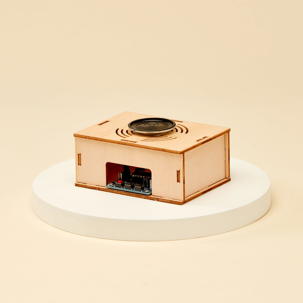 Voice Recorder DIY Kit, Educational STEM Toy (ONLINE ORDER ONLY)