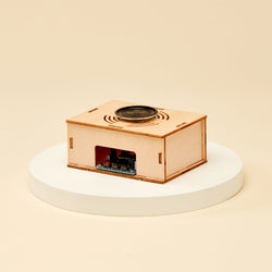 Voice Recorder DIY Kit, Educational STEM Toy (ONLINE ORDER ONLY)