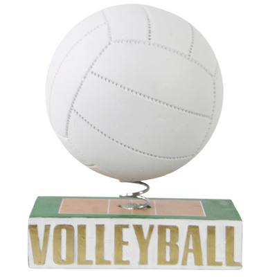 Sports Ball Bobble Series (ONLINE ORDER ONLY)