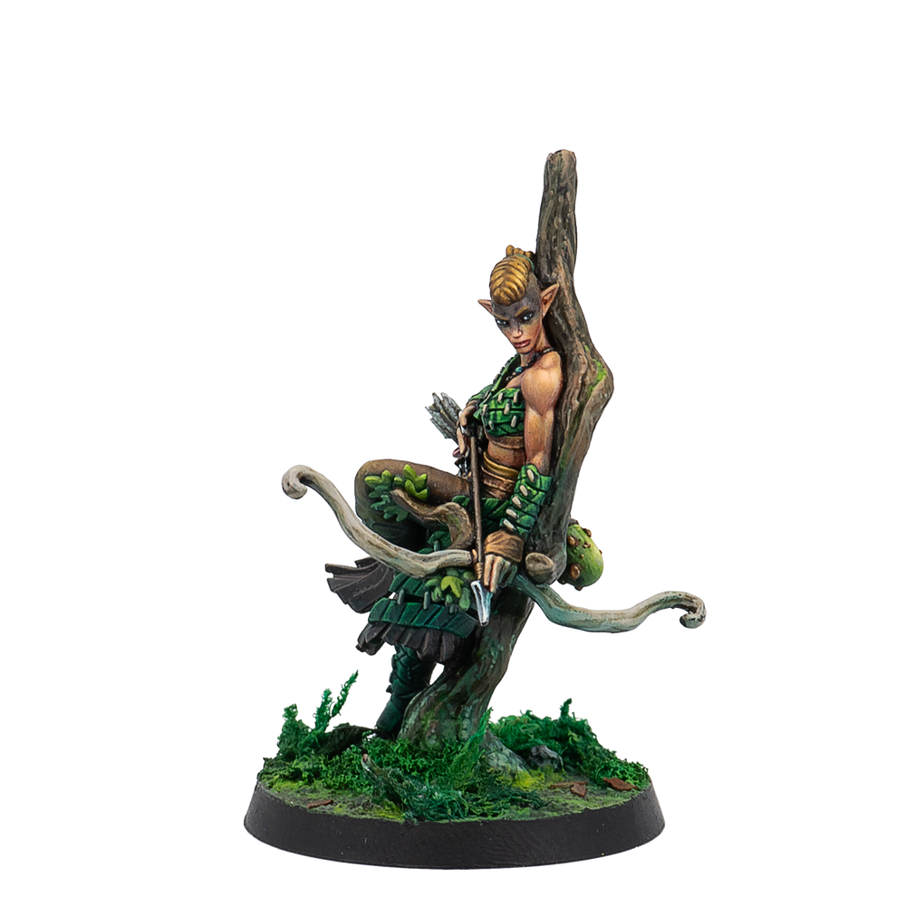 Protectors of the Forest