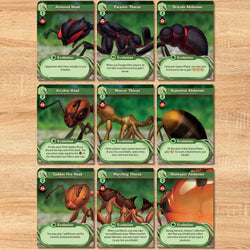 March of the Ants: Evolved Edition (ONLINE ORDER ONLY)