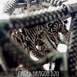 Caged Dragon D20 (6 Colors) (Online Order Only)