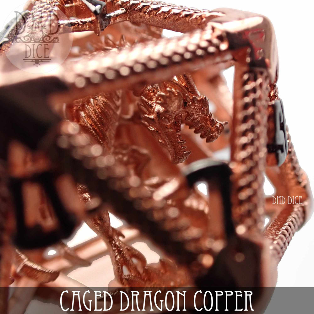 Caged Dragon D20 (6 Colors) (Online Order Only)