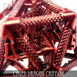 Caged Dragon D20 (6 Colors) (Online Order Only)