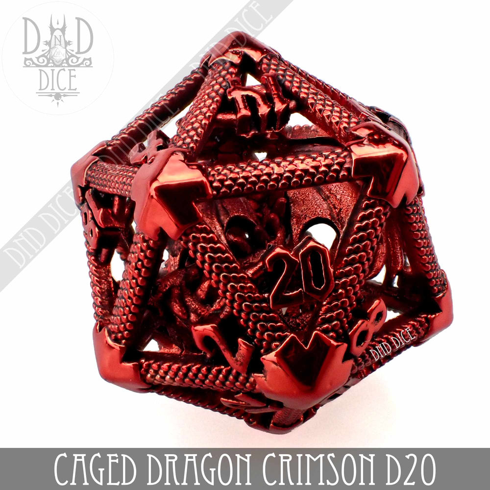 Caged Dragon D20 (6 Colors) (Online Order Only)