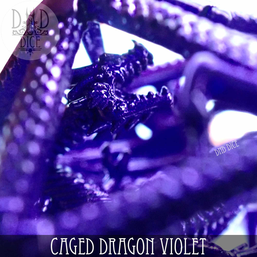 Caged Dragon D20 (6 Colors) (Online Order Only)