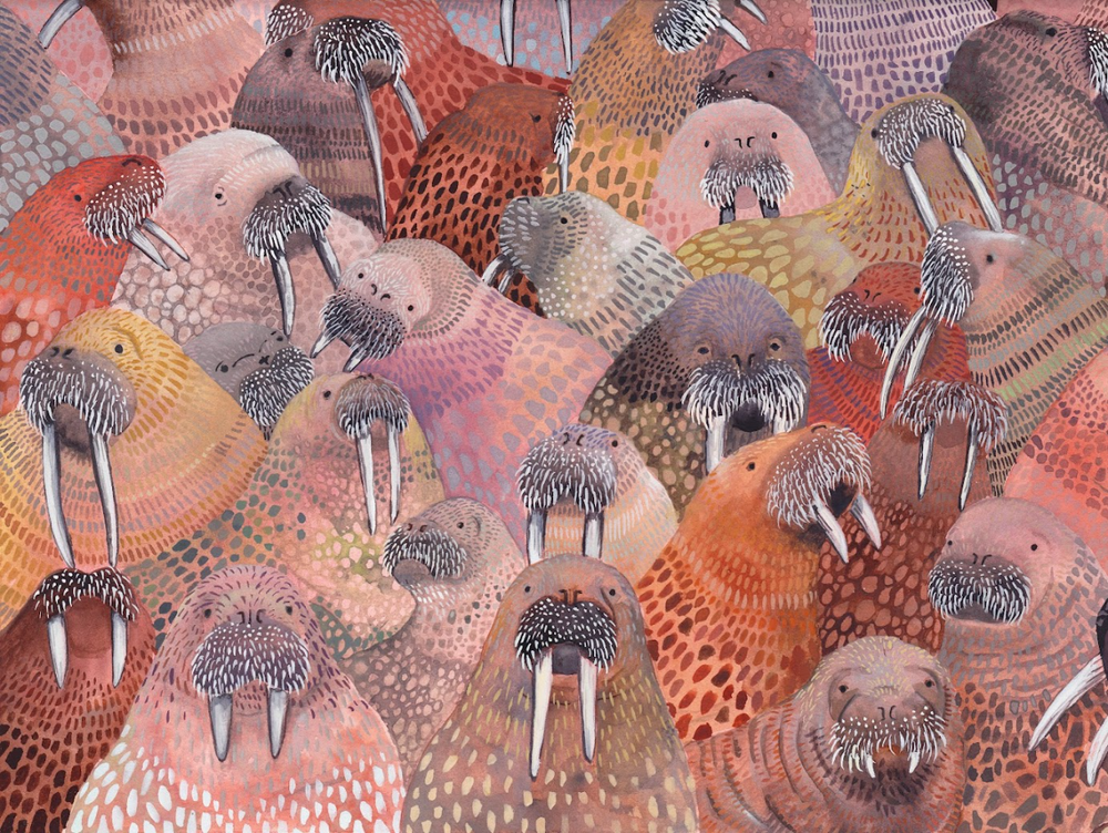 Walrus Colony, Emma Lopes (Online Order Only)