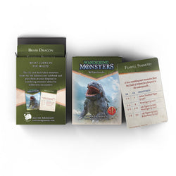 Wandering Monsters Deck: Wilderlands (5E) (ONLINE ORDER ONLY)