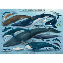 Whales & Dolphins 1000 Piece Jigsaw Puzzle Eurographics (ONLINE ORDER ONLY)