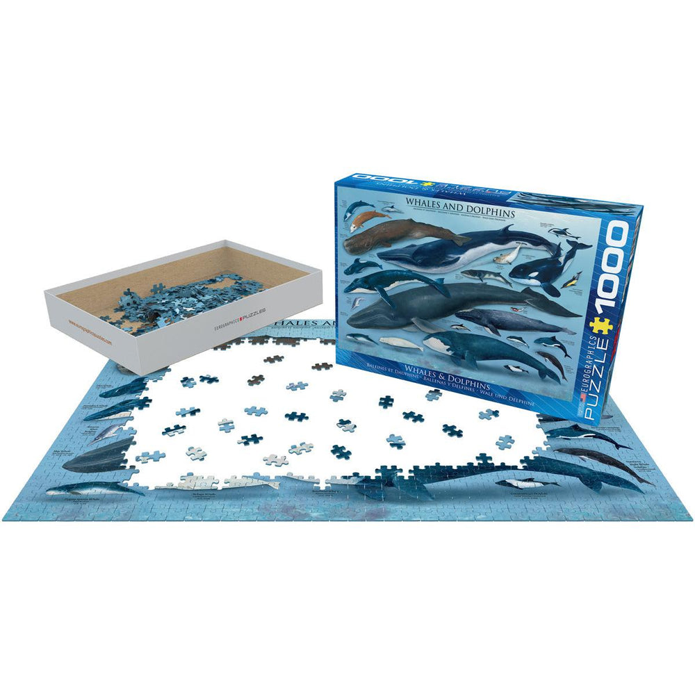 Whales & Dolphins 1000 Piece Jigsaw Puzzle Eurographics (ONLINE ORDER ONLY)