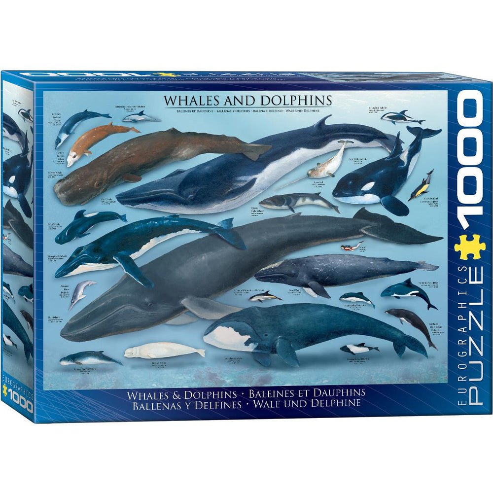 Whales & Dolphins 1000 Piece Jigsaw Puzzle Eurographics (ONLINE ORDER ONLY)