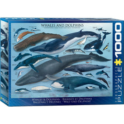 Whales & Dolphins 1000 Piece Jigsaw Puzzle Eurographics (ONLINE ORDER ONLY)