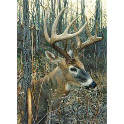 White-Tailed Deer 1000 Piece Jigsaw Puzzle Cobble Hill (ONLINE ORDER ONLY)