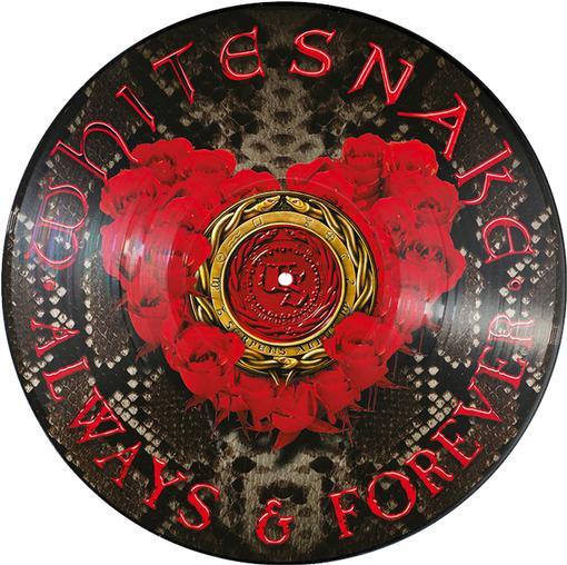 Always & Forever [Vinyl] (ONLINE ORDER ONLY)