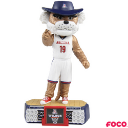 NCAA Stadium Lights Bobbleheads (ONLINE ORDER ONLY)