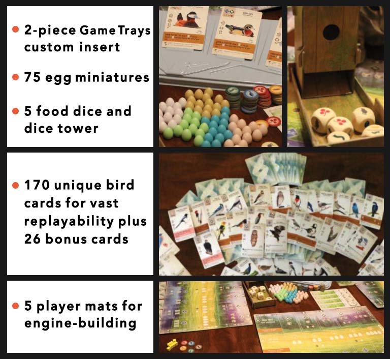Wingspan: Revised (ONLINE ORDER ONLY)