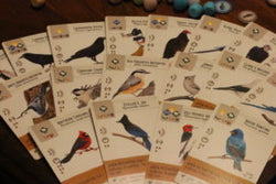 Wingspan: Revised (ONLINE ORDER ONLY)