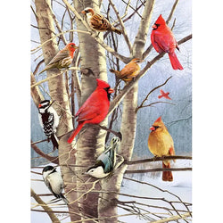 Winter Birds 1000 Piece Jigsaw Puzzle Cobble Hill (ONLINE ORDER ONLY)