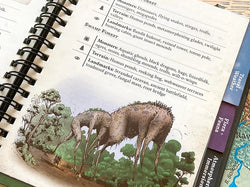 Wondrous Expeditions Forests - Pocket Guide (Hardcover) (ONLINE ORDER ONLY)