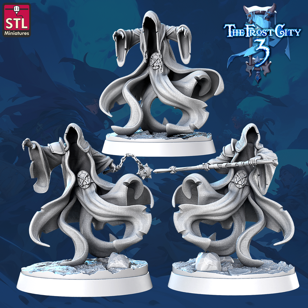 3D Printed STL Miniatures Wraiths Core Characters The Frost City 3 28 - 32mm War Gaming D&D (Online Only)